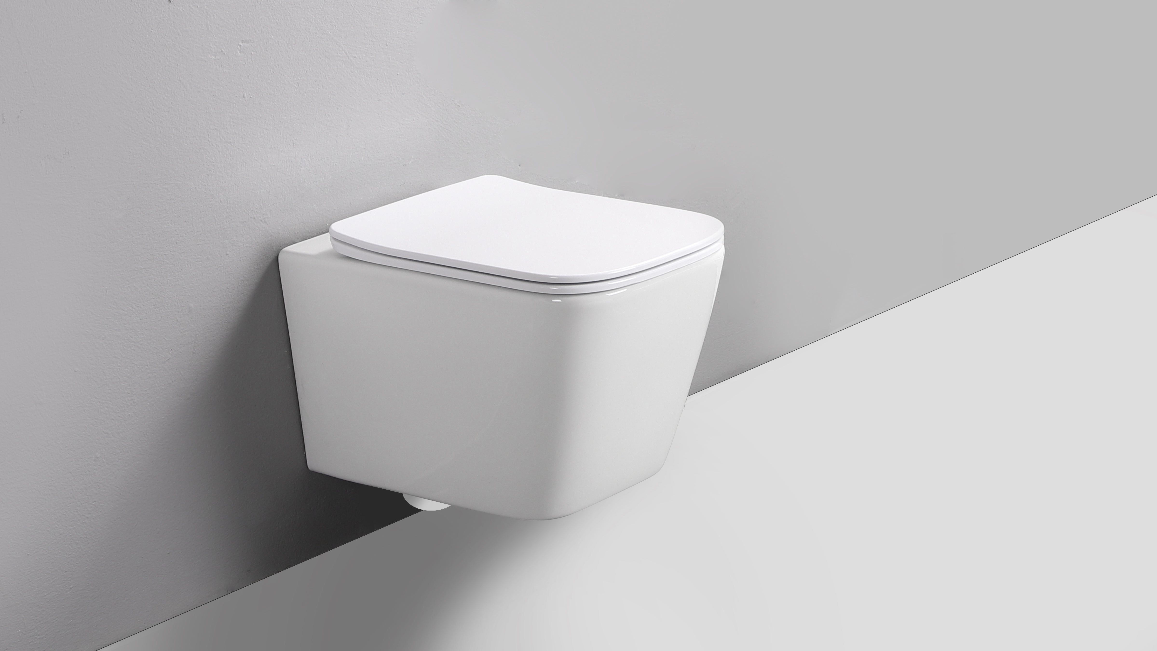RICO WALL HUNG TOILET PAN & SEAT
